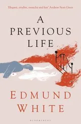 Cover of A Previous Life