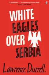 Cover of White Eagles over Serbia