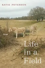 Cover of Life in a Field