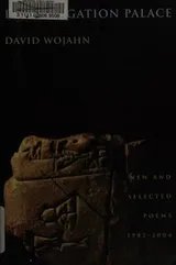 Cover of Interrogation Palace