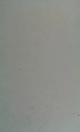 Cover of The Word leaps the gap