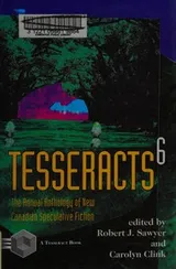 Cover of Tesseracts 6: Canadian speculative fiction