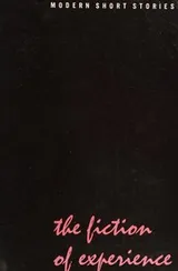 Cover of The fiction of experience