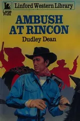 Cover of Ambush at Rincon