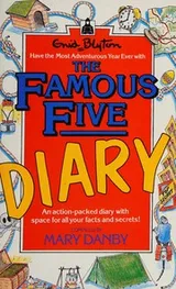 Cover of The Famous Five Diary