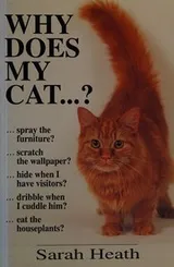 Cover of Why does my cat -?
