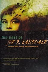 Cover of The best of Joe R. Lansdale