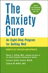 Cover of The anxiety cure