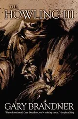 Cover of The Howling III