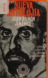 Cover of Nueva antolojia
