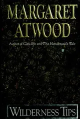 Cover of Wilderness Tips