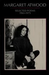Cover of Poems 1965-1975