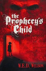 Cover of Prophecy's Child