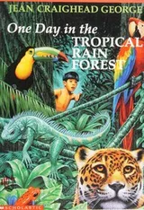 Cover of One day in the tropical rain forest
