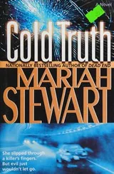 Cover of Cold truth