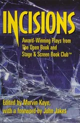 Cover of Incisions