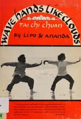 Cover of Wave hands like clouds