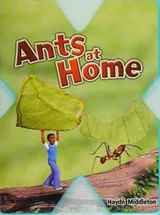 Cover of Ants at home