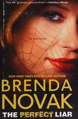 Cover of The perfect liar