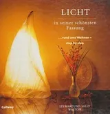 Cover of Licht in seiner schönsten Fassung
