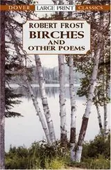 Cover of Birches and other poems