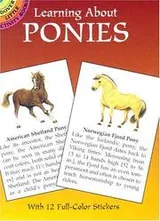 Cover of Learning About Ponies (Learning about Books