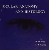 Cover of Optics of contact lenses