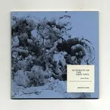 Cover of In pursuit of the grey soul