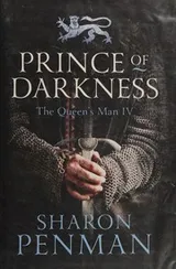 Cover of Prince of Darkness