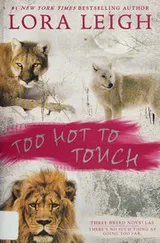 Cover of Too Hot to Touch