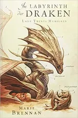 Cover of Im Labyrinth der Draken