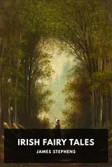 Cover of Irish Fairy Tales