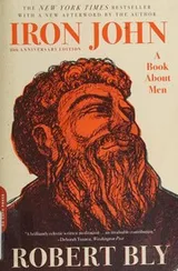 Cover of Iron John
