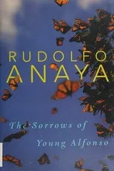 Cover of The sorrows of young Alfonso