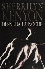 Cover of Desnuda la noche