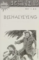 Cover of Bei hai yi ying
