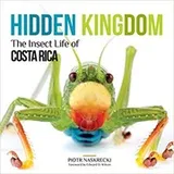 Cover of Hidden Kingdom