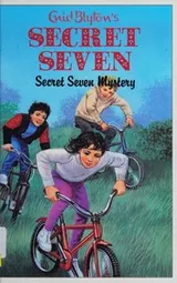 Cover of Secret Seven Mystery
