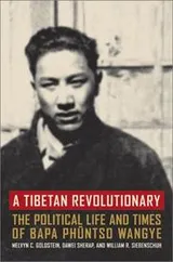 Cover of A Tibetan Revolutionary