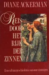 Cover of Reis door het rijk der zinnen