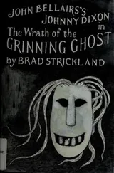 Cover of The Wrath of the Grinning Ghost (Johnny Dixon #12)