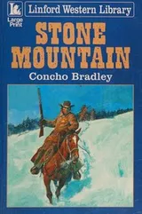 Cover of Stone Mountain