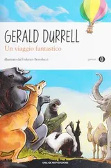 Cover of Un viaggio fantastico