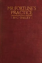 Cover of Mr. Fortune's practice