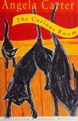 Cover of The curious room