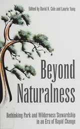 Cover of Beyond naturalness