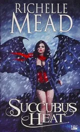 Cover of Succubus Heat