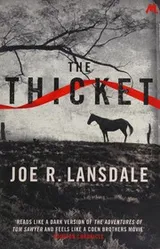 Cover of Thicket