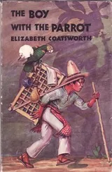 Cover of The boy with the parrot