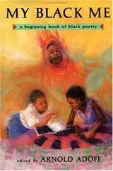 Cover of My Black Me